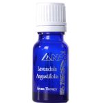 Afbeeldingen van Lavendel